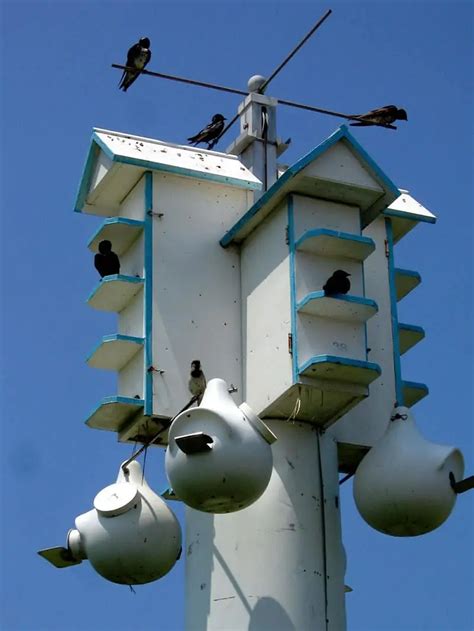 buy metal purple martin bird houses|best rated purple martin houses.